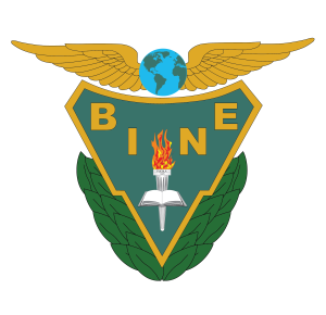 BINE Virtual